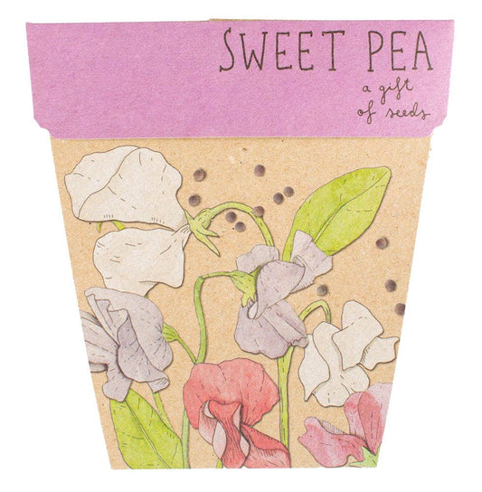 Sweet Pea Gift of Seeds