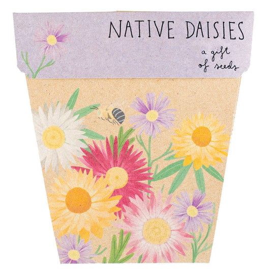 Native Daisies Gift of Seeds