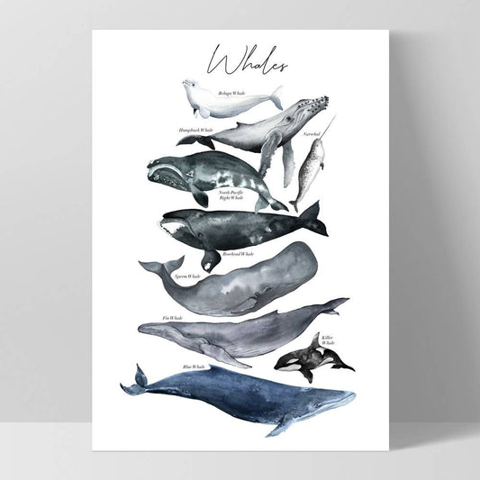 Whales Print