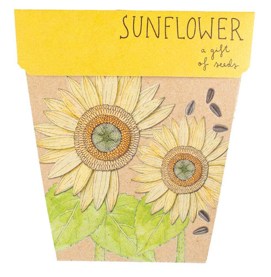 Sunflower Gift of Seeds