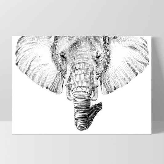 Elephant Sketch