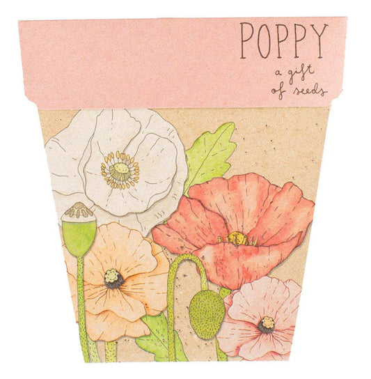 Poppy Gift of Seeds 